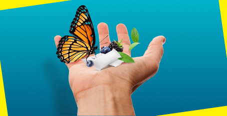 Understanding Velo Nicotine Pouches: A Different Approach to Nicotine Consumption