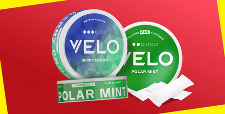 Breakdown of a Velo Nicotine Pouch: What’s Inside?