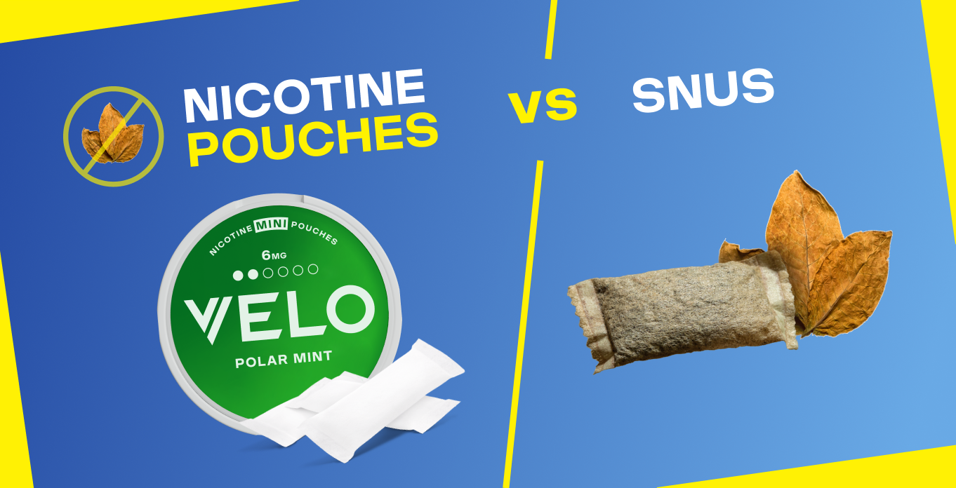What’s the Difference Between Snus and Nicotine Pouches?